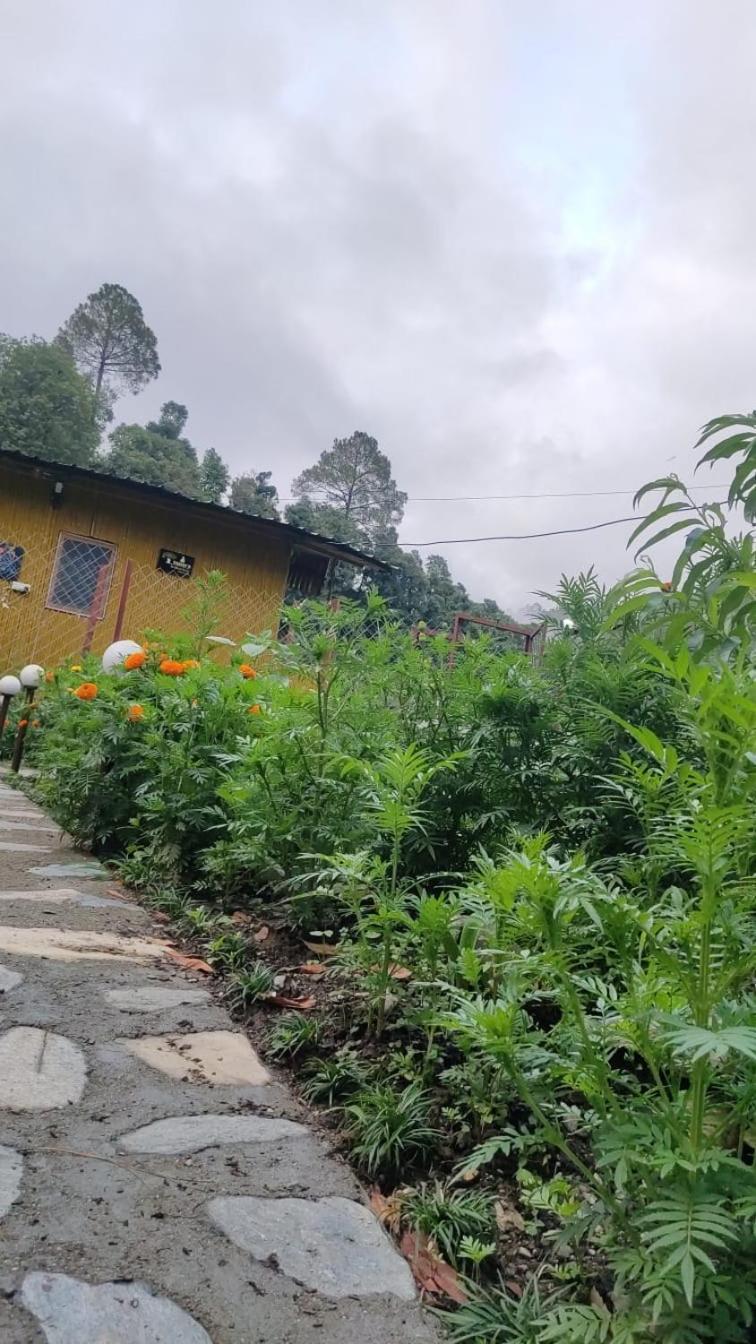 Krishna Kutir, Talla Ramgarh By The Meditating Society エクステリア 写真